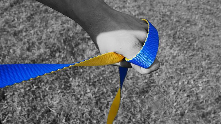 Linea di flusso (25 m)