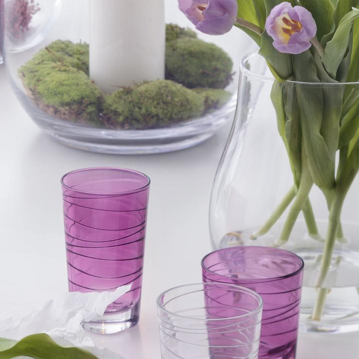 Actual product image Leonardo Vario (0.28 l, 6 x)