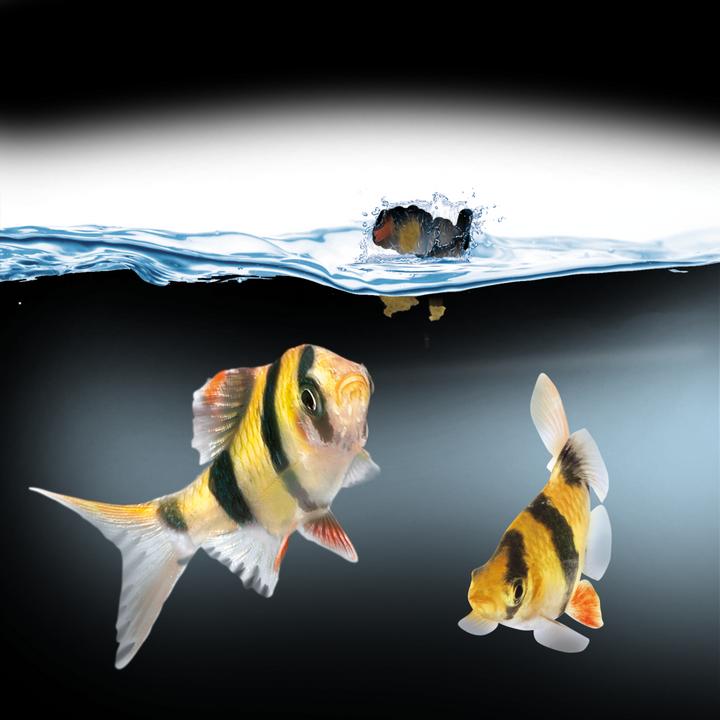 Immagine prodotto Juwel Aquarium alimentazione facile (Alimentatore automatico digitale)