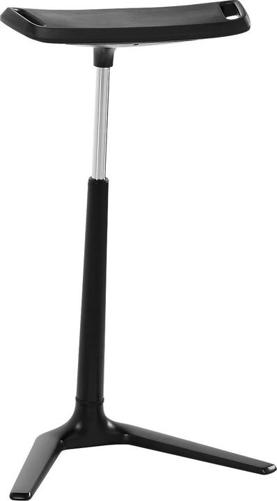 Actual product image Bimos Standing aid FIN