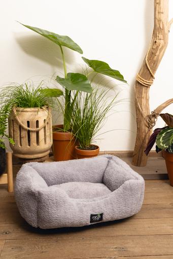 Immagine prodotto Beeztees Nox (Gatto)