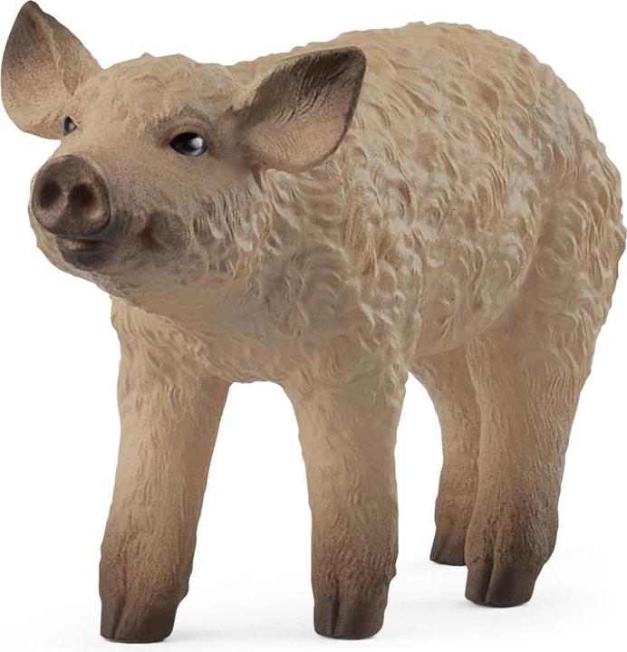 Image du produit Schleich Porc laineux Porcelet