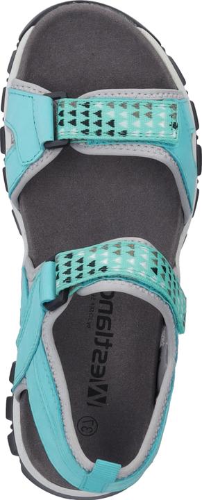 Image du produit Westland 25801-TE508 (36)