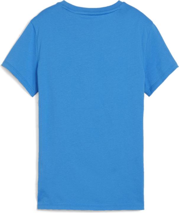 Puma teamGOAL Casuals Tee Wmn