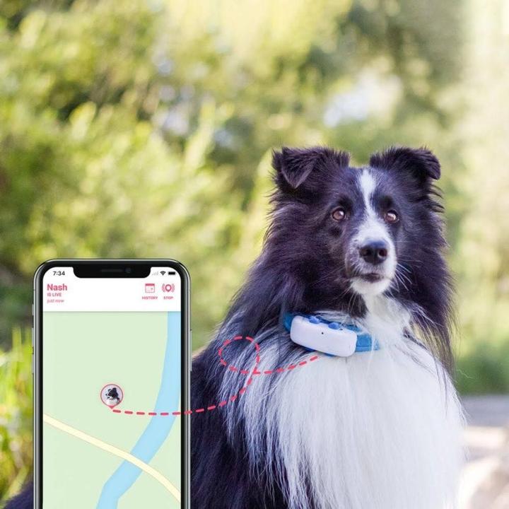 Productafbeelding Tractive Dog 4 GPS Tracker voor honden (Kat, Hond, Loop)