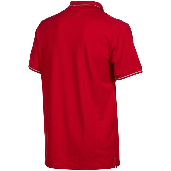 Image du produit Arena Team Poloshirt Solid Cotton (XL)