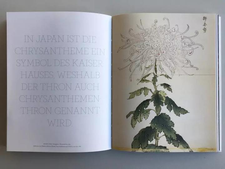 Produktbild Blumen in der Kunst (Deutsch, Kendra Wilson, 2019)