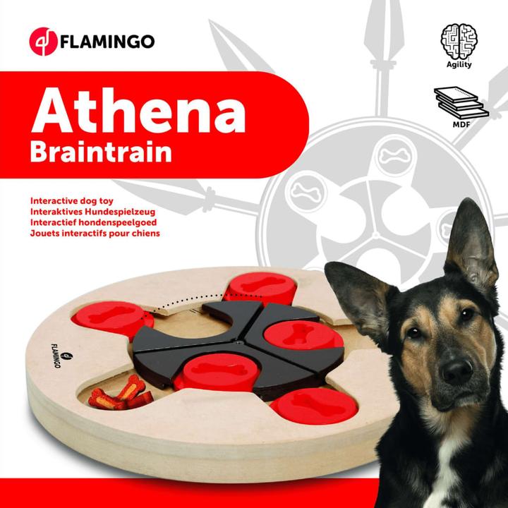 Produktbild Karlie Wooden Brain Train Athena (Intelligenzspielzeug Hund)