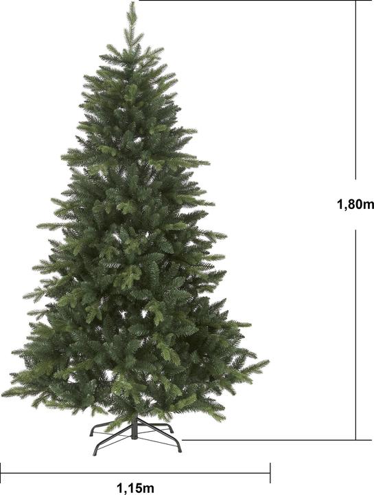 Valori nutrizionali e ingredienti Star Trading Bergen (180 cm)