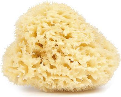 Immagine prodotto Najel Spugna naturale 9-10 cm
