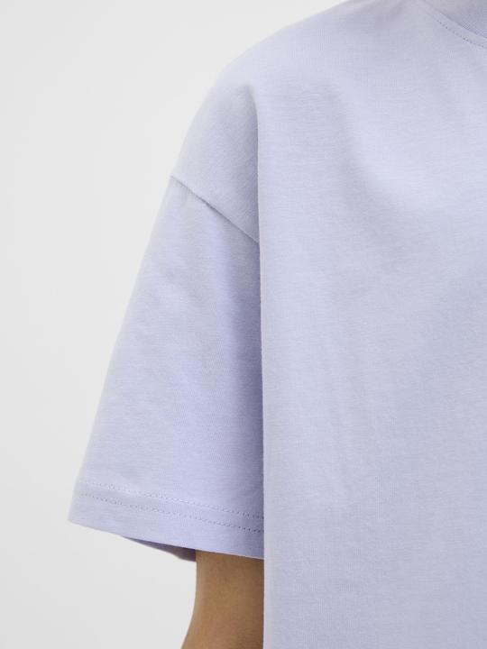 Produktbild Jack & Jones Jorvesterbro Tee Ss Crew Neck Noos Jnr (164)