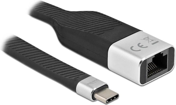 Delock USB C – RJ45 (USB-C, RJ45 (1x))