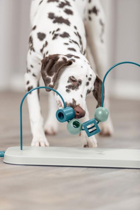 Produktbild Trixie Skills Loop (Beschäftigungsspielzeug Hund)