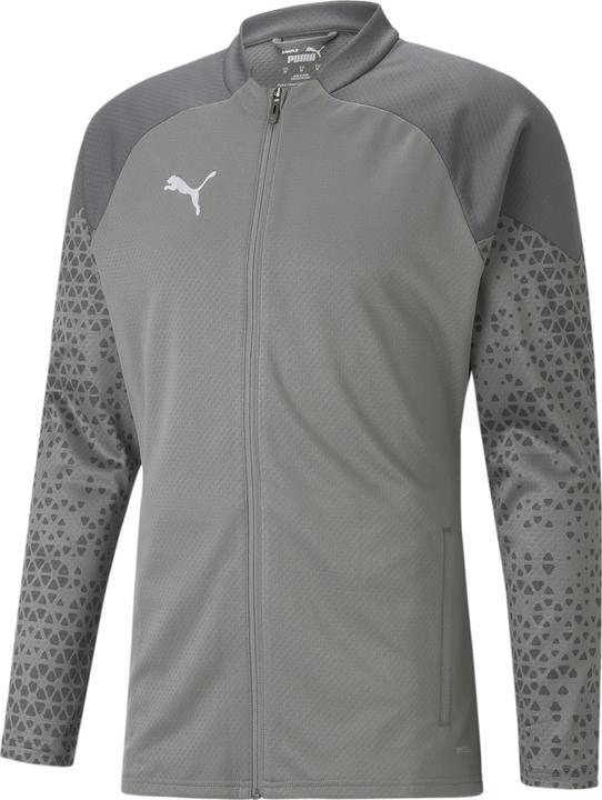 Puma teamCUP Training Jacket gray L (L)
