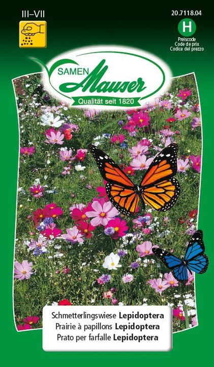 Image du produit Samen Mauser Lépidoptères des prairies à papillons (Réensemencement de la pelouse)