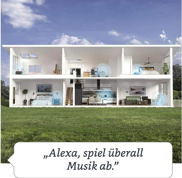 Actual product image Amazon Echo Dot (4th gen.) (Amazon Alexa)