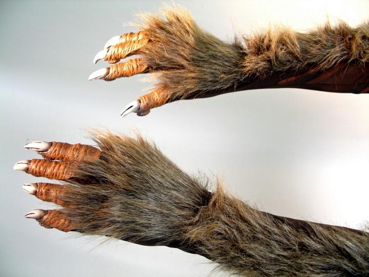 Actual product image Festartikel Müller Werewolf Claw Hands With Plush Hair