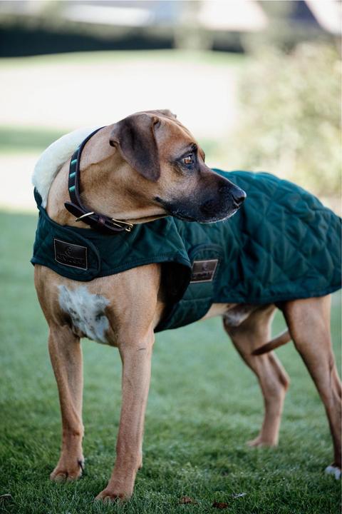 Produktbild Kentucky Dogwear Hundemantel 160g (M, Hundemantel)