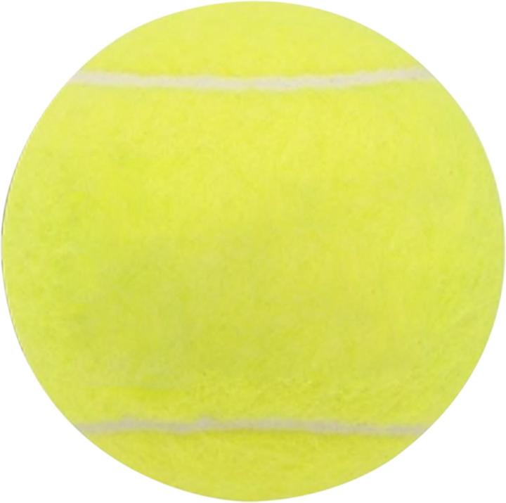 Image du produit Dunlop Fort All Court
