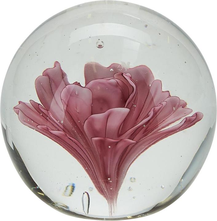 Miss Etoile Flower