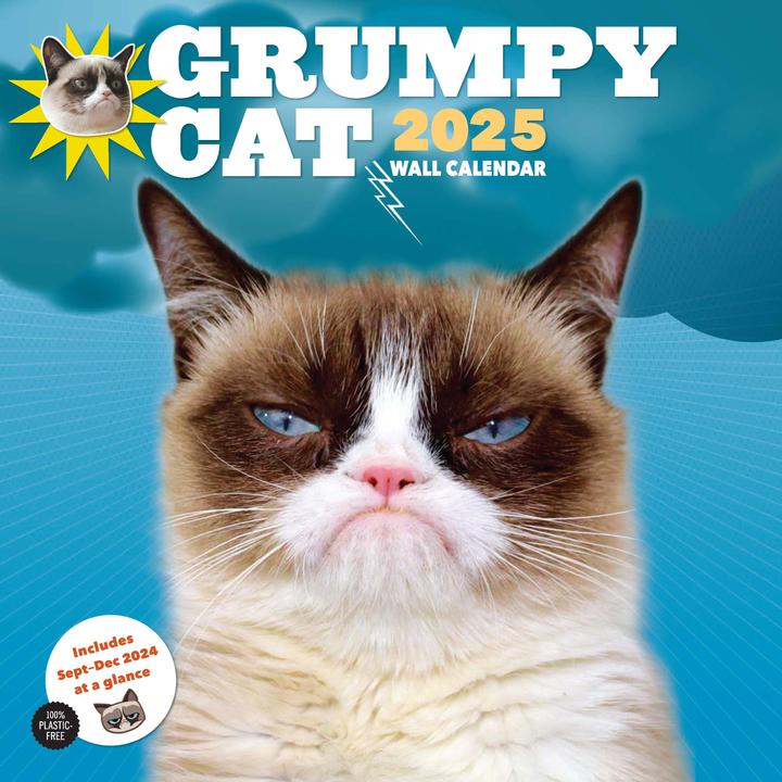 Actual product image Abrams & Chronicle Grumpy Cat 2025 (30.5 x 30.5 cm, English)