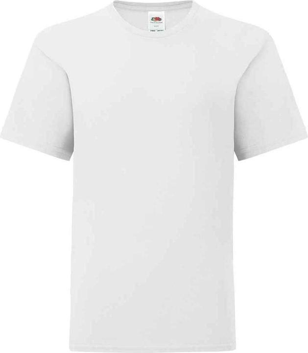 Actual product image Fruit of the Loom Childrens/Kids Iconic T-Shirt (140, 146)