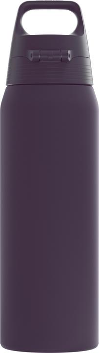 Aubergine noire