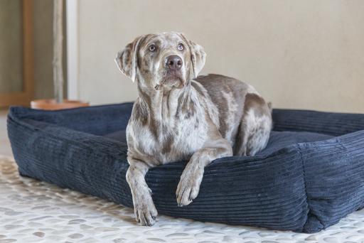 Produktbild Designed by Lotte Liegebett Ribbed (Hund)