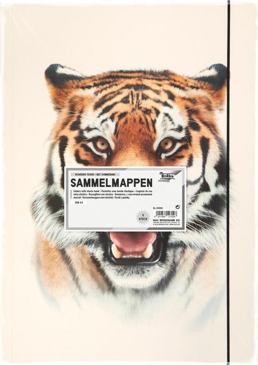 Image du produit Folia Dossier de dessins BASIC "Roaring Tiger", carton, DIN A3 (A3)