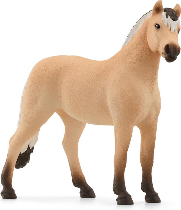 Image du produit Schleich Cheval Fjord hongre