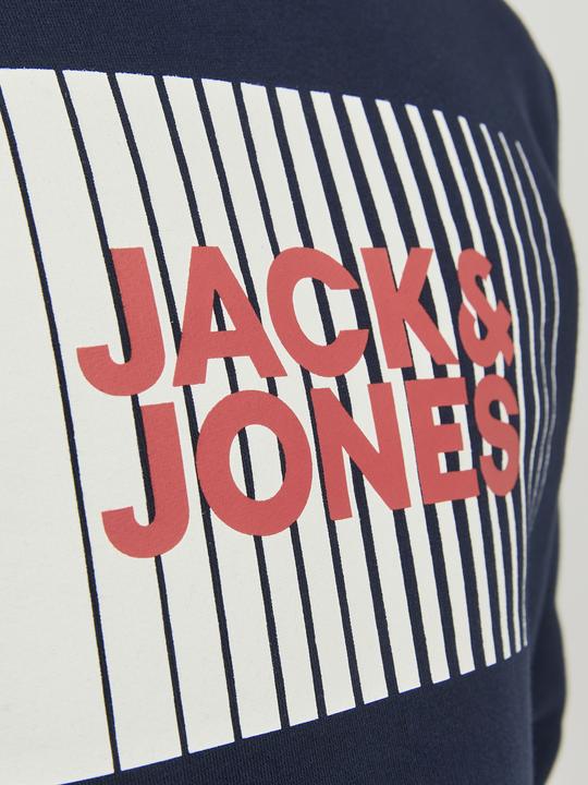 Actual product image Jack & Jones Boys Logo Hoodie (176)