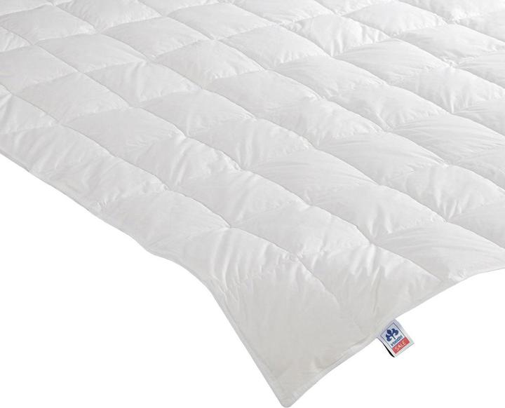 Produktbild Irisette Daunensteppbett Nora leicht (240 g, 135 x 200 cm)