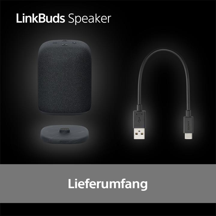 Produktbild Sony SRS-LS1 (25 h, Akkubetrieb)