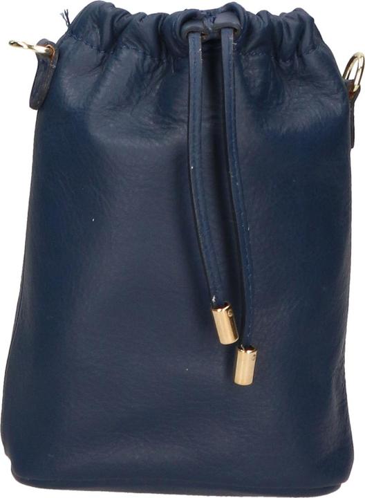 Actual product image Gave Lux Hobo bag