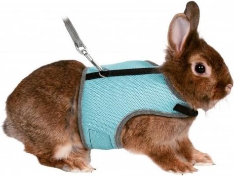 Actual product image Trixie Soft harness with leash (One size, Rodents, General)