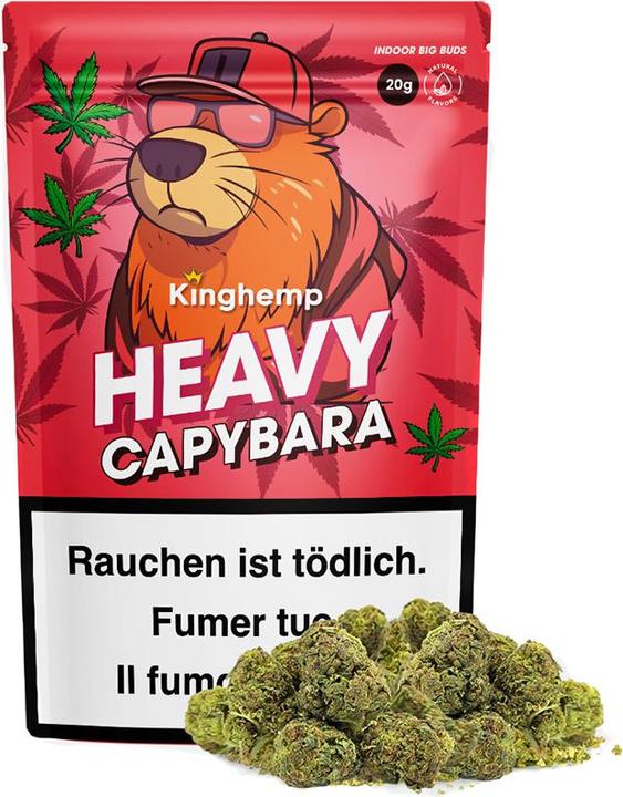 Kinghemp Heavy Capybara (20 g, Indoor)
