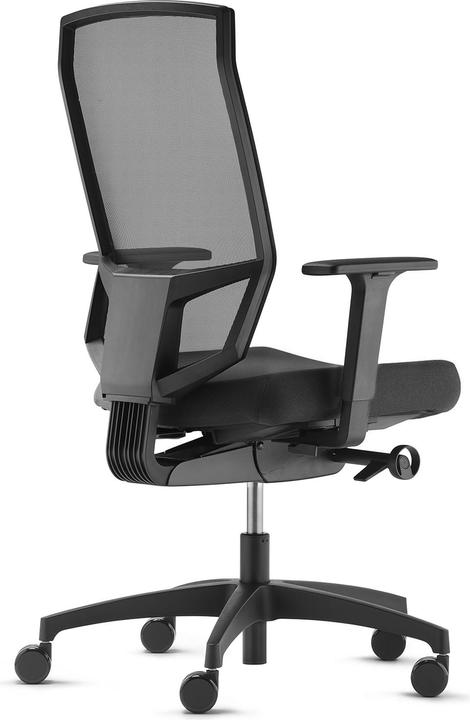 Image du produit Dauphin just Evo Mesh