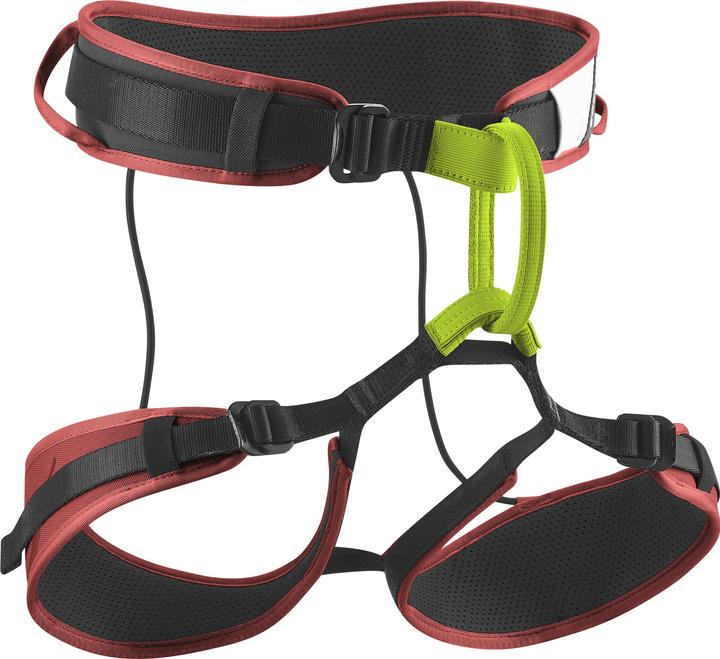 Actual product image Edelrid Zack Gym II rental climbing harness (XS)