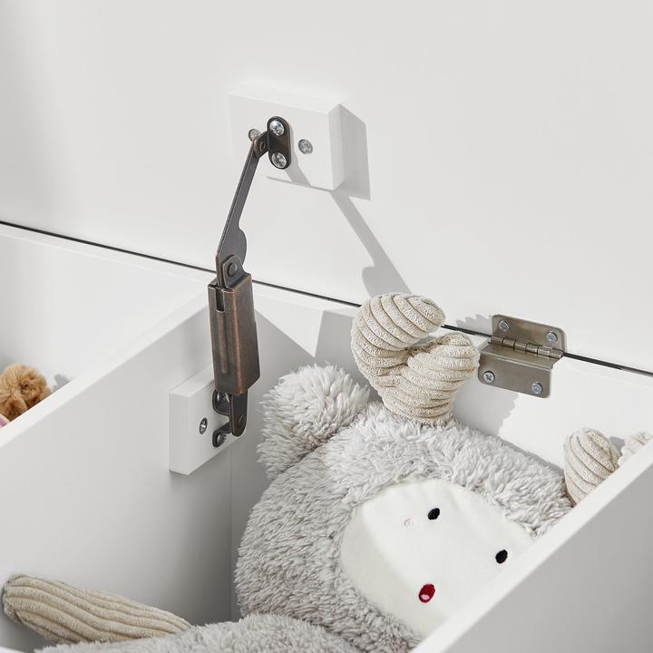 Actual product image SoBuy Toy chest