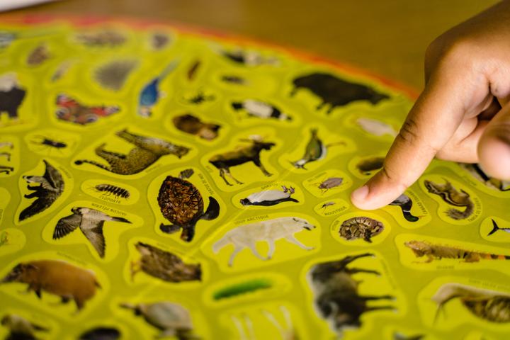 Image du produit Nathan Mission animaux jeu de société Fine motor skill (dextérité) (Français)