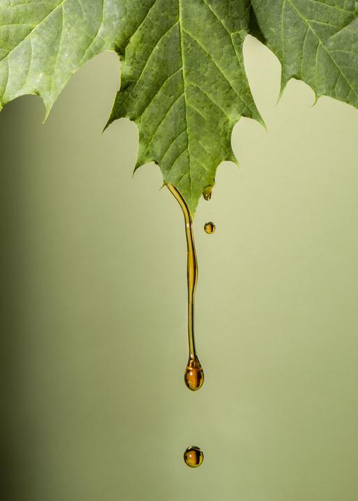 Actual product image KoRo Organic maple syrup (1000 g)