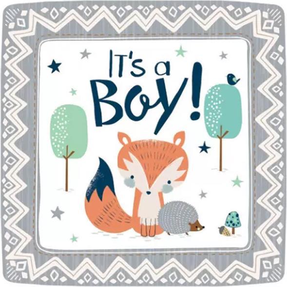 Image du produit Generic We Can Bear Ly Wait Assiettes jetables en papier pour la fête de bébé (paquet de 8) (8 x)