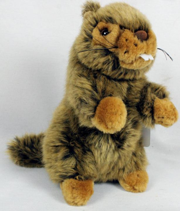 Image du produit Uniring Peluche marmotte (18 cm)