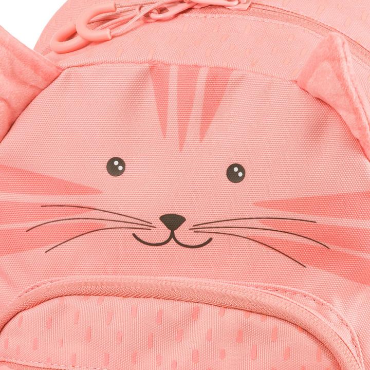 Actual product image Schneiders Kitty