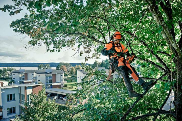 Actual product image Husqvarna T535i XP (Battery chain saw)