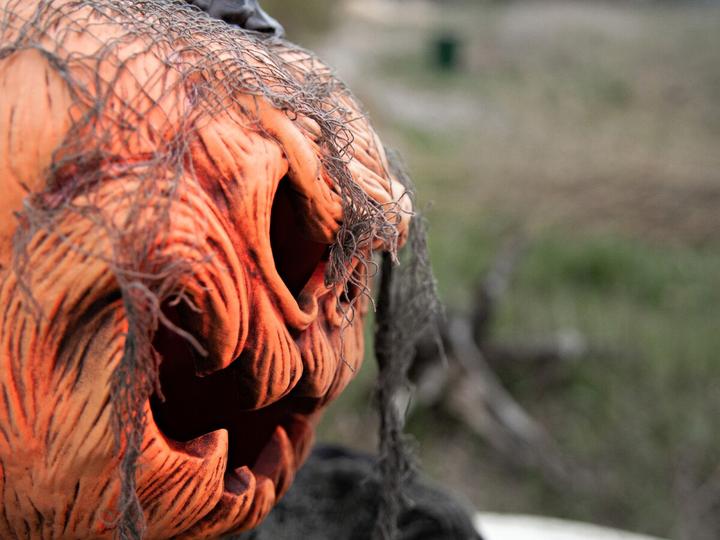 Produktbild Europalms Halloween Kürbis-Monster