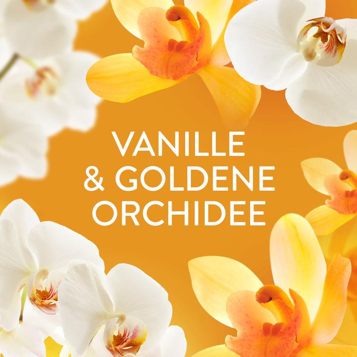 Actual product image Lenor Goldene Orchide (22 Washing cycles, Laundry beads)