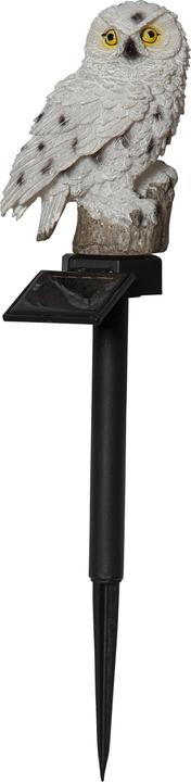 Image du produit Star Trading Owl (IP44)