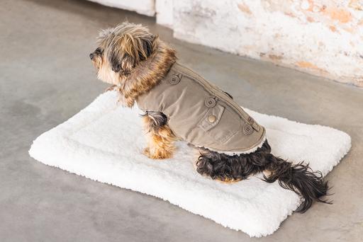 Actual product image Designed by Lotte Dog coat Philos (XS, Dog coat)