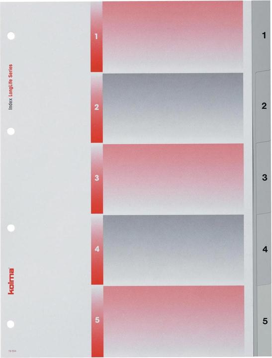 Produktbild Kolma Register A4 superstrong 1-5 5-teilig grau